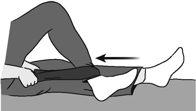 Assisted Knee Bends