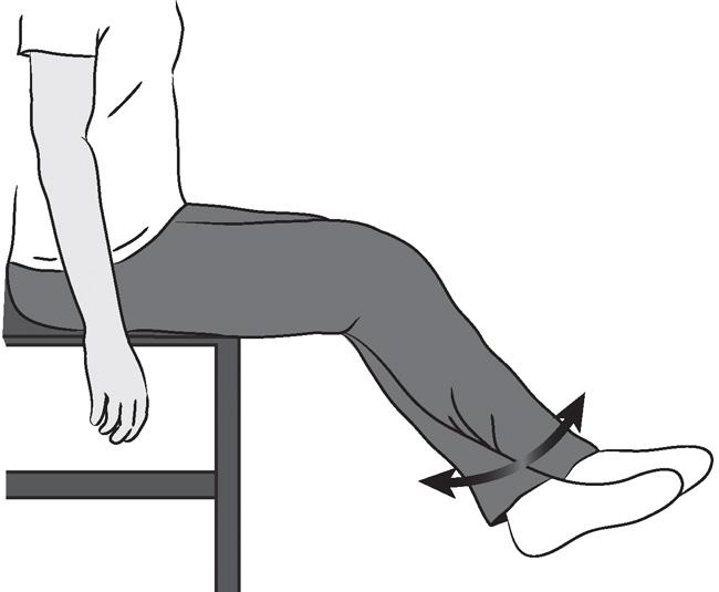 Sitting Supported Knee Bends