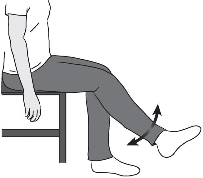 Sitting Unsupported Knee Bends